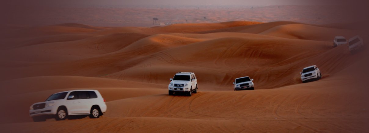 Dubai Desert Safari