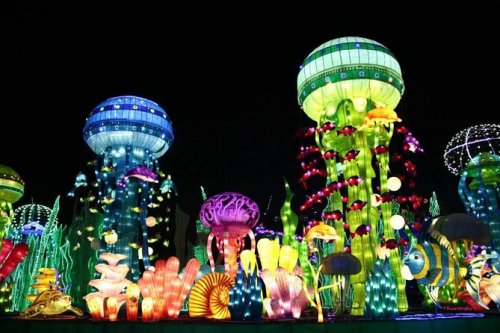 Glow Garden