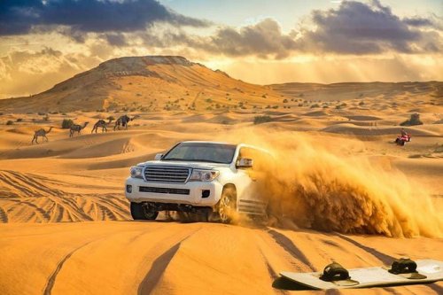 Desert Safari Tour