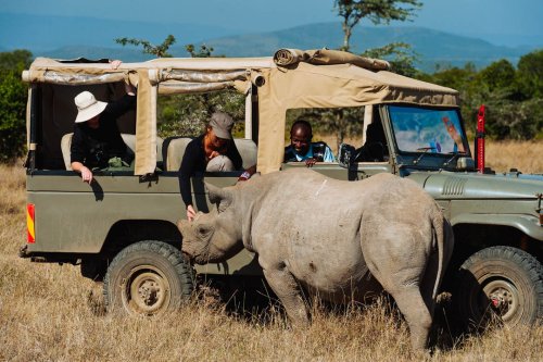 Thrilling Kenya - 7 Nights / 8 Days