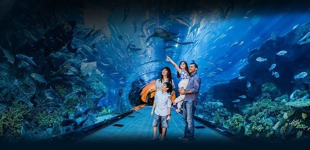 Dubai Aquarium & Underwater Zoo Day Ticket