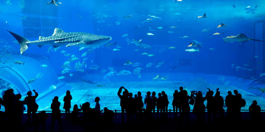 burj khalifa and dubai aquarium